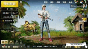  Chinese PUBG 