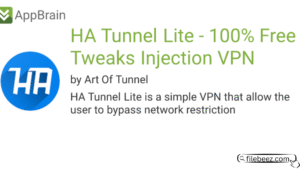 HA Tunnel Lite
