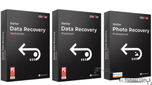 Stellar Data Recovery
