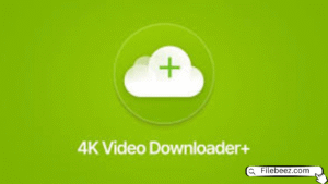  4K Video Downloader 2025